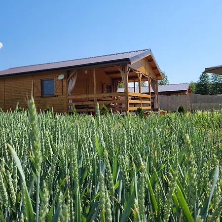 Mazurski Zakatek Skarlin *