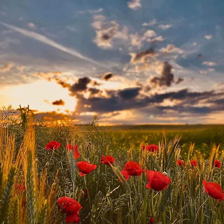Mazurski Zakatek Skarlin Σπίτι διακοπών Nowe Miasto Lubawskie